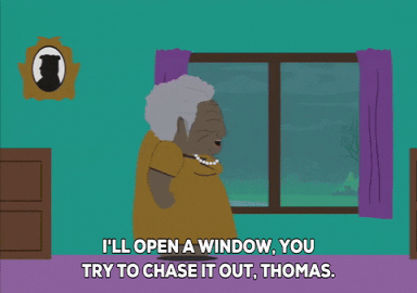 picture window GIF by South Park 