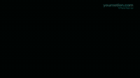 Modern Logo Reveal