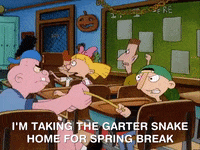 hey arnold nicksplat GIF