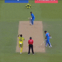 India Csk GIF by Amarillo College