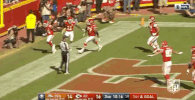 2018 Nfl Football GIF by NFL