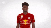 Red Bull Smile GIF by FC Red Bull Salzburg