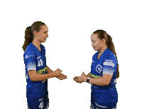 Floorball Sticker by Český florbal