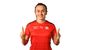 Switzerland Swipe Up Sticker by Swiss Football Association