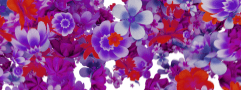 Flower Love GIF by SEYTÚ