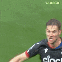 Come On Yes GIF by Crystal Palace Football Club