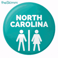 register to vote north carolina GIF by theSkimm
