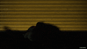 Spider-Man GIF by Insomniac Games