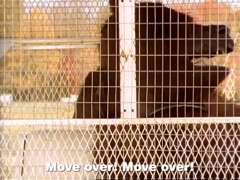 season 1 GIF