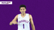 Purple Aces Evansville GIF by UE Athletics