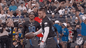 Nfl Pro Bowl Football GIF by NFL