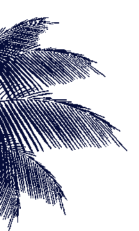 Palmtree Sticker by SilentCinema