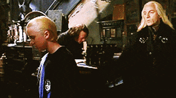 harry potter ask draco GIF
