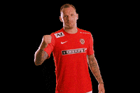 FCZBROJOVKABRNO Brno zbrojovka zbrojovkabrno fczb GIF