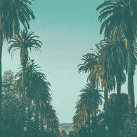 LAvsHate la california los angeles hate GIF