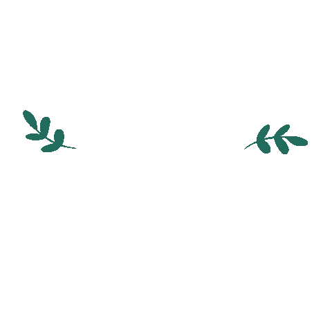 Christmas Holiday Sticker