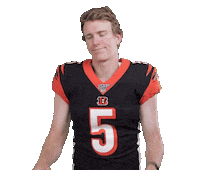 Cincinnati Bengals Football Sticker by NFL