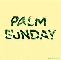 Easter Sunday Jesus GIF by Dr. Donna Thomas Rodgers