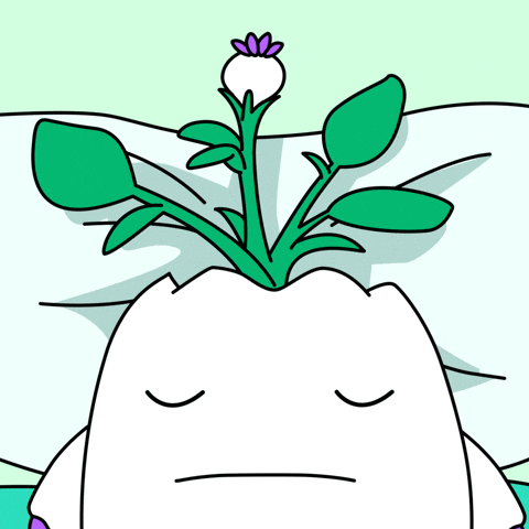 Wake Up What GIF by Magic Eden