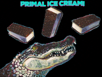 willleskridge party food eat ice cream GIF