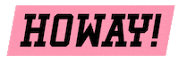 Newcastle Geordie Sticker by SKIVE