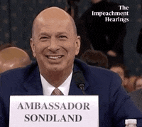 Impeachment Hearings GIF