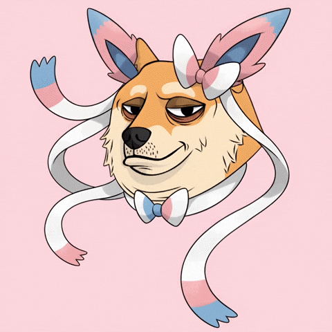 Shiba Inu Dog GIF by Doge Pound