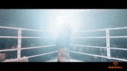 Boxing Creed GIF by Regal