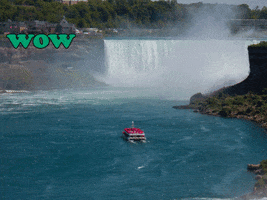 GIF by FranchiseONE.de