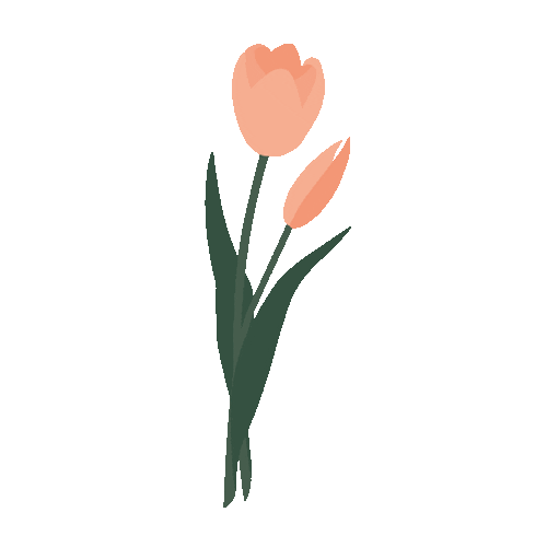 Flower Tulip Sticker