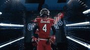 College Football GIF by gamecocksonline