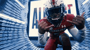 College Football GIF by gamecocksonline
