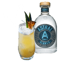 Mixed Drink Cocktail Sticker by Astral Tequila