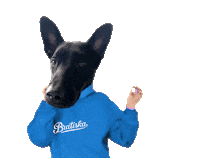 Dance Nove Sticker by Bratiska