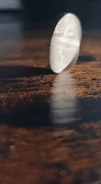 Choose Heads Or Tails GIF by Detektorking