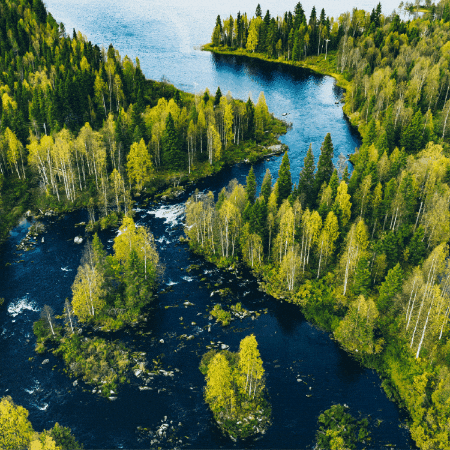 maryhuntly giphygifmaker giphyattribution GIF