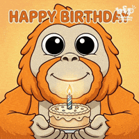 Happy Close-Up GIF by Buddies for Paws