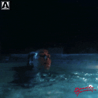 Movie Reaction GIF by Arrow Video