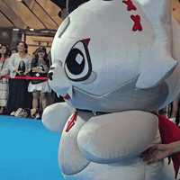 Look Flapping GIF