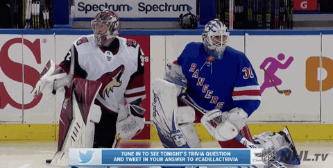 Ice Hockey Sport GIF by NHL