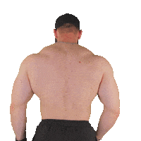 Fitness Flexing Sticker by Universal Nutrition Europe