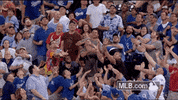 kc GIF by MLB