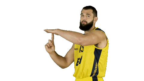Ewe Baskets Basketball Sticker by EWE Baskets Oldenburg