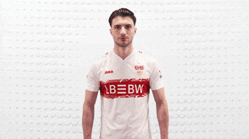 Vfb Stuttgart Love GIF by Bundesliga