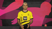 Borussia Dortmund Applause GIF by Bundesliga