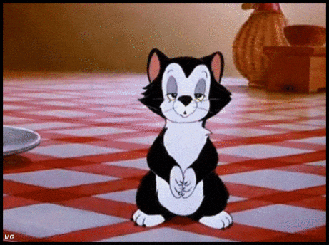 Disney gif. Figaro the Cat from Figaro and Cleo, seated on a checkered tablecloth, watches as a glowing halo appears above his head.