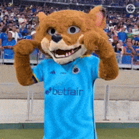 Mascot Futebol GIF by Cruzeiro Esporte Clube