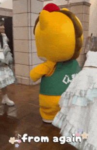 Girl Group Horse GIF