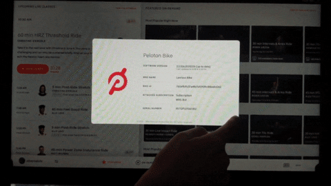 cezarbabin giphyupload GIF