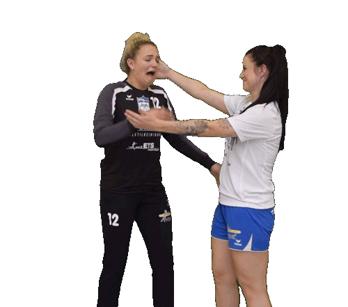 ATSVHabenhausen giphyupload sad cry handball Sticker